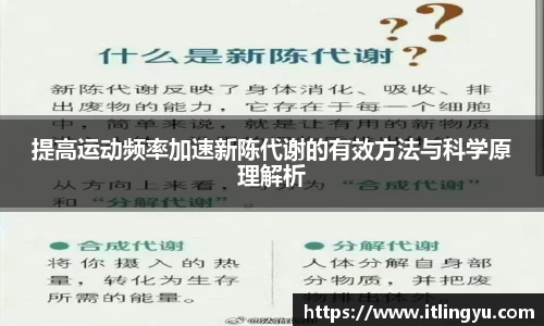 提高运动频率加速新陈代谢的有效方法与科学原理解析